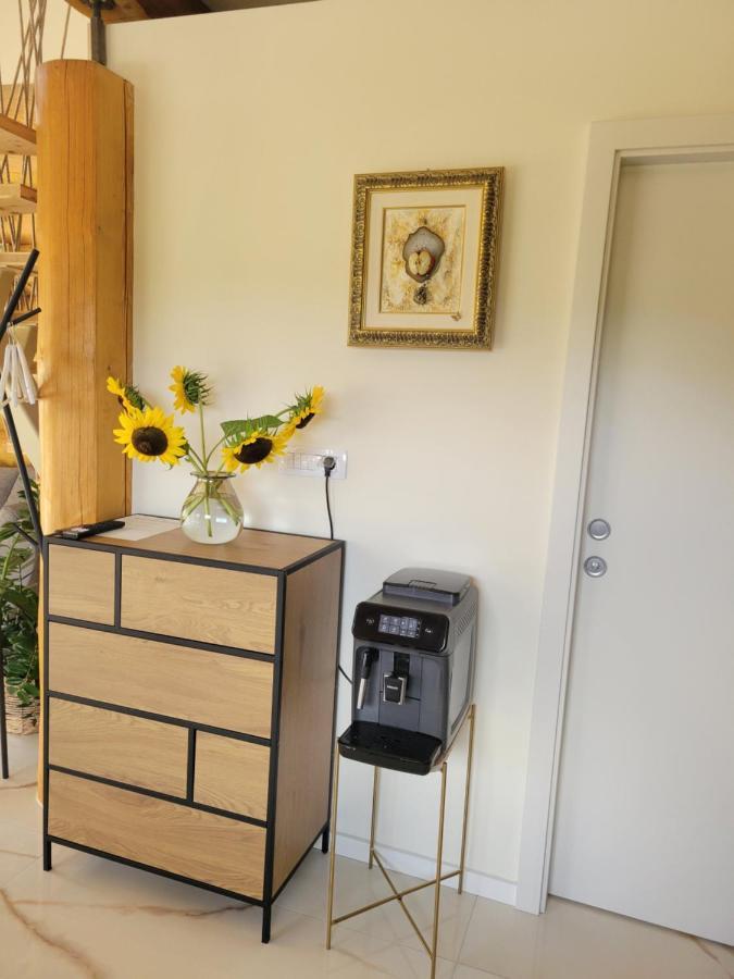 Chalet -Vv Podčetrtek Exteriör bild